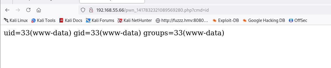 image-20250531150408884